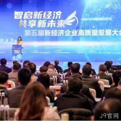 J9官网</a>荣登“2024中国新经济企业TOP500”