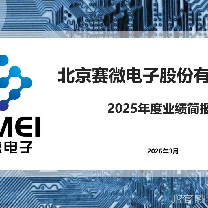 替换词</a>2025年度业绩简报